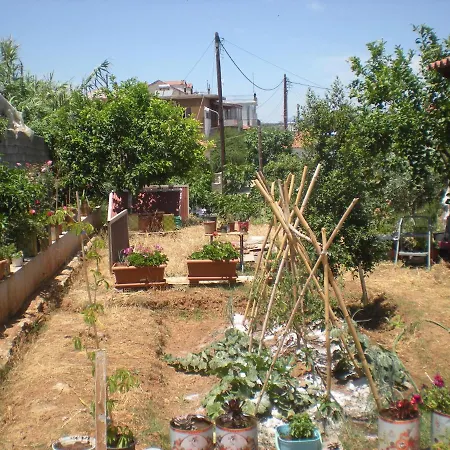 Gedigio Petalídhion