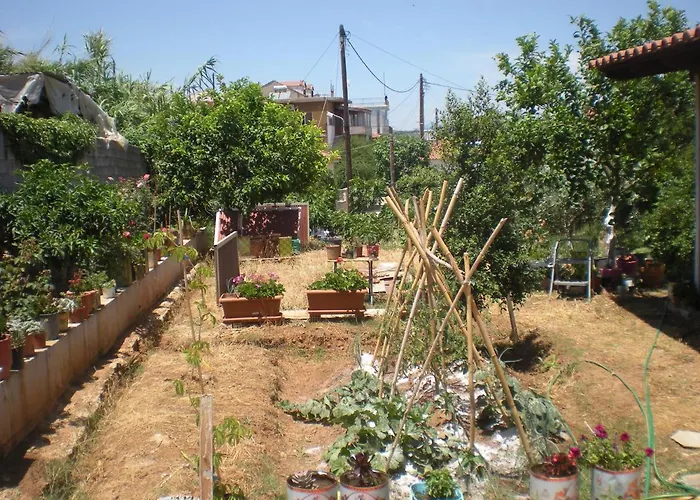 Gedigio Petalídhion